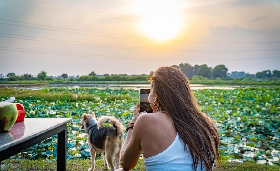 Una persona fotografiando a un perro en un estanque de nenúfares durante el atardecer. 1