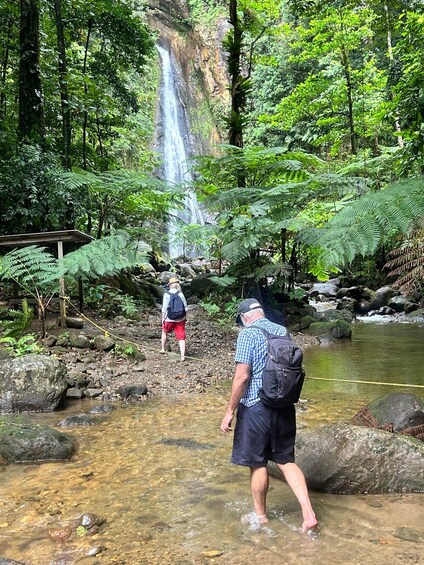A man walking in a forest with a waterfall in the background. 2