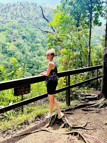 A person standing on a wooden platform with a railing, overlooking a dense forest and a hill in the background. 5