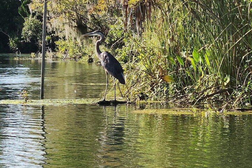 King's Bay Sunset Cruise 3