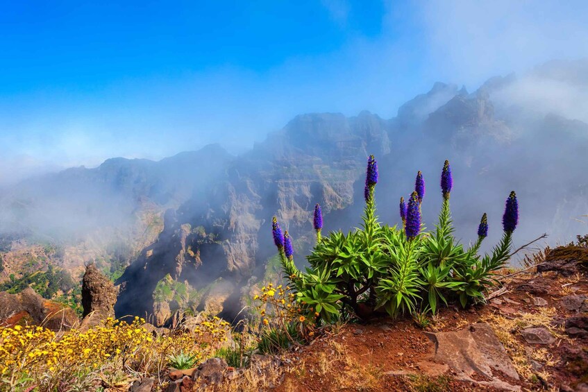 Picture 6 for Activity PR1 Guided Tour Pico Areeiro - Pico Ruivo W/Ticket included 5