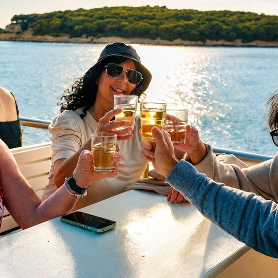 Pula:Brijuni Dolphin Sunset Tour with Drinks┃Optional Dinner 1