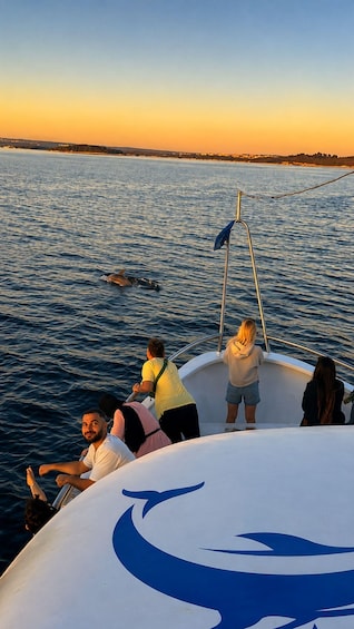 Picture 5 for Activity Pula:Brijuni Dolphin Sunset Tour with Drinks┃Optional Dinner 5