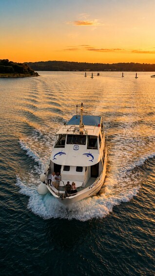 Picture 19 for Activity Pula:Brijuni Dolphin Sunset Tour with Drinks┃Optional Dinner 4