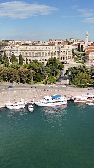 Picture 30 for Activity Pula:Brijuni Dolphin&Sunset Tour with Drinks&Optional Dinner 2