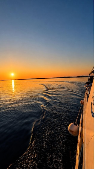 Picture 3 for Activity Pula:Brijuni Dolphin Sunset Tour with Drinks┃Optional Dinner 2