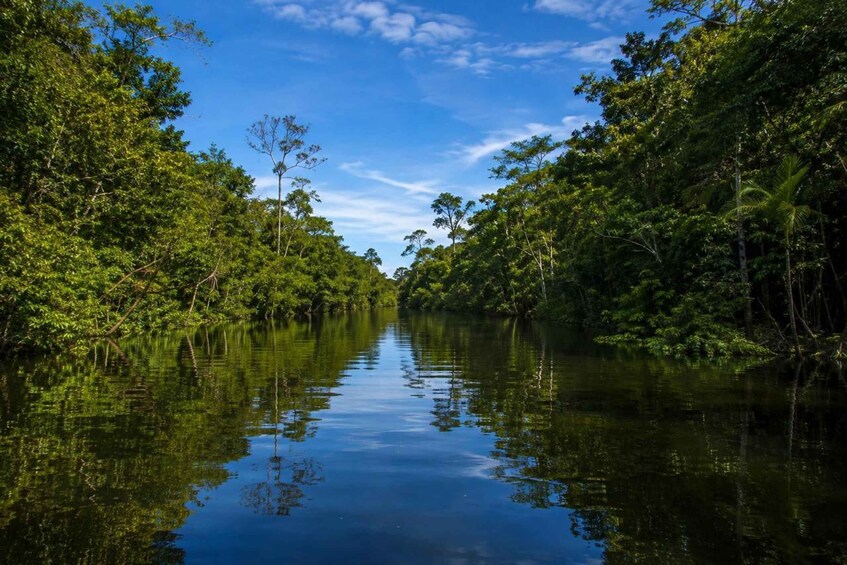 Picture 9 for Activity From Manaus: 3 or 4-Day Rio Negro & Anavilhanas River Cruise 2