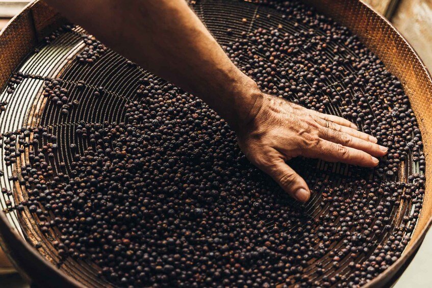 Picture 2 for Activity Mahón: Gin Distillery Tour with Tasting & Appetizers 3