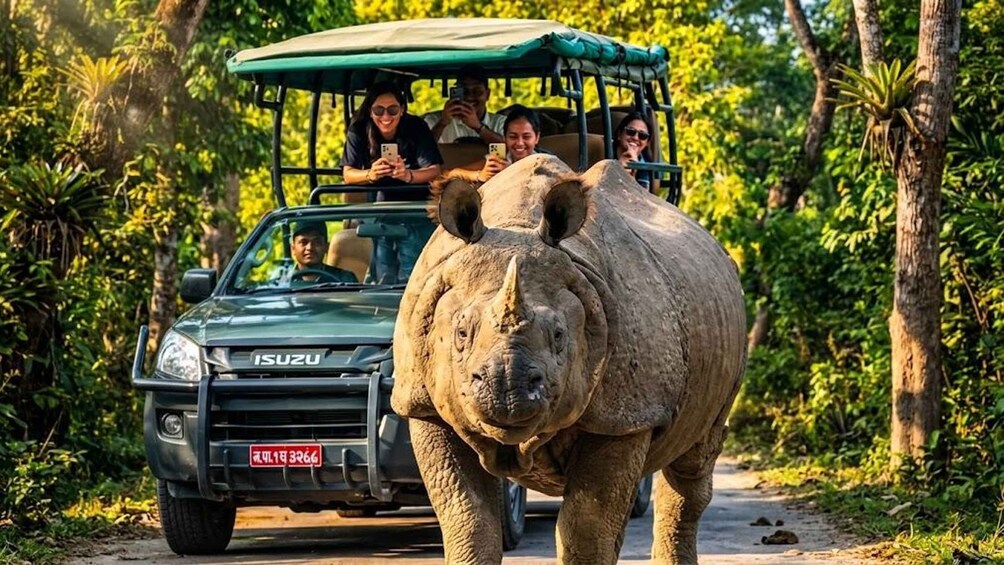 Picture 23 for Activity From Kathmandu: 3-Day Chitwan Wildlife & Jeep Safari Tour 3