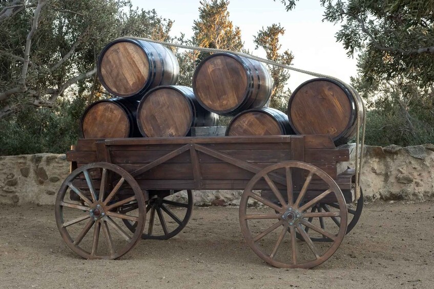 Picture 57 for Activity Mykonos: Winery Vineyard Experience with Food & Wine Tasting 2
