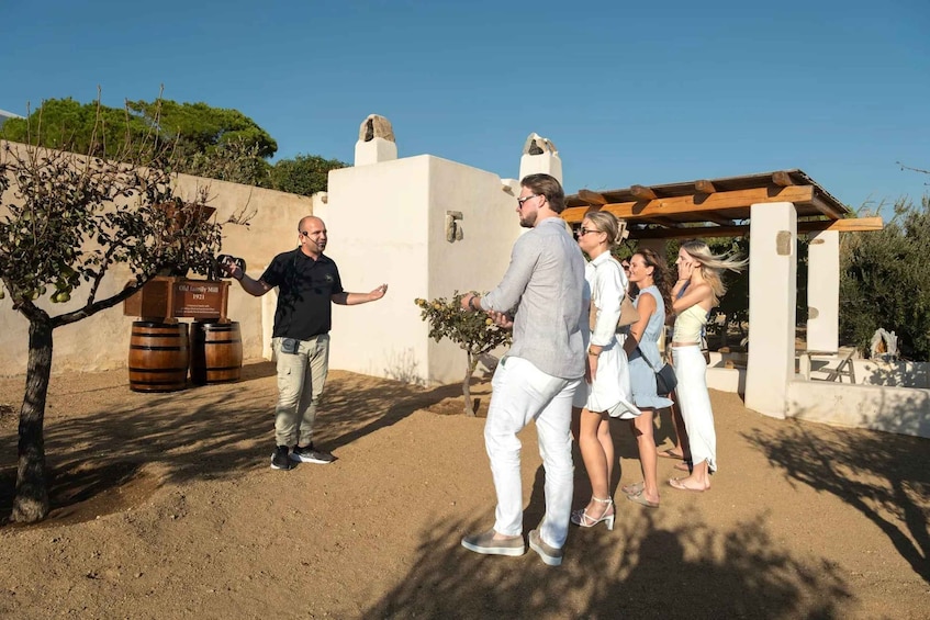Picture 6 for Activity Mykonos: Winery Vineyard Experience with Food & Wine Tasting 4