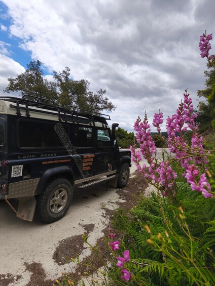 Picture 1 for Activity Tolox: Sierra de las Nieves National Park Private 4x4 Tour 2