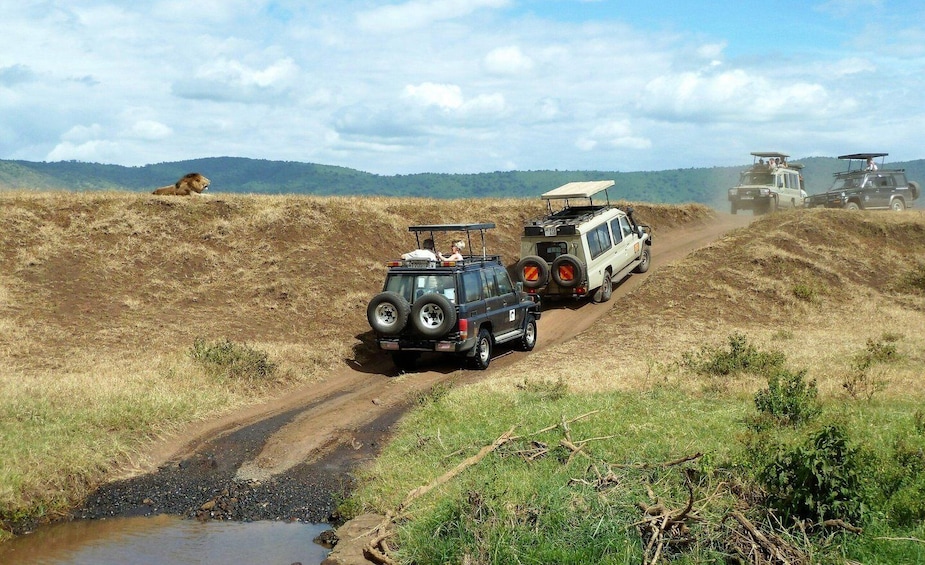 From Nairobi: Elephant Orphanage and Giraffe Center Tour 1