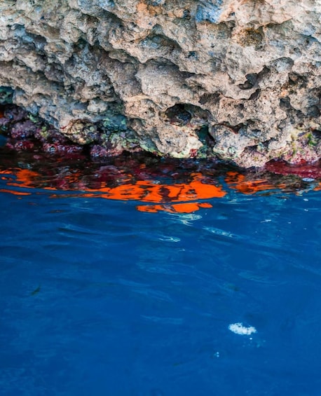 A rocky shoreline with blue water and orange-red algae. 1