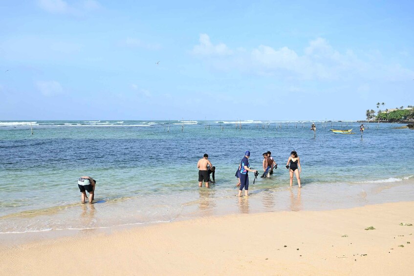 Picture 39 for Activity Snorkeling Trip from Polhena Beach, Matara, Sri Lanka 3