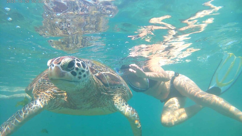A person snorkeling with a sea turtle. 1