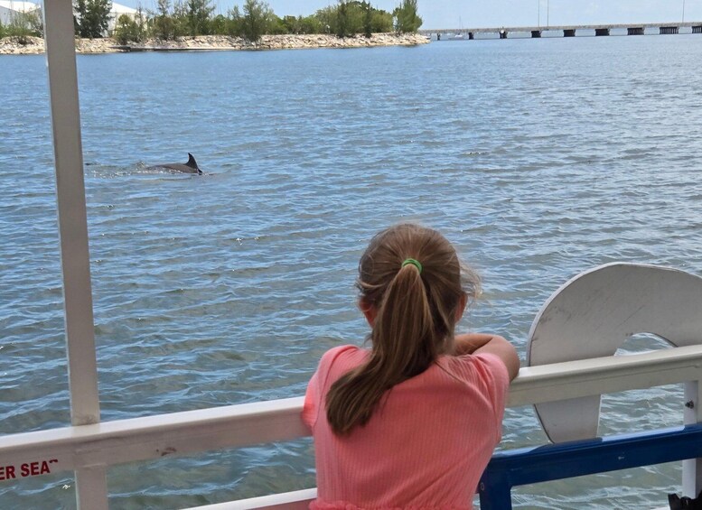Picture 9 for Activity Private 2 hour Dolphin Sightseeing tour- Melbourne 3