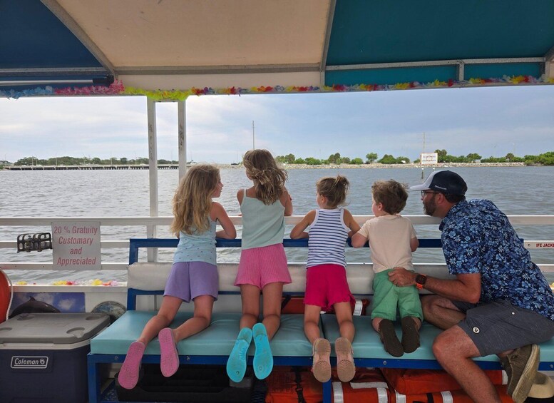 Picture 25 for Activity Private 2 hour Dolphin Sightseeing tour- Melbourne 4