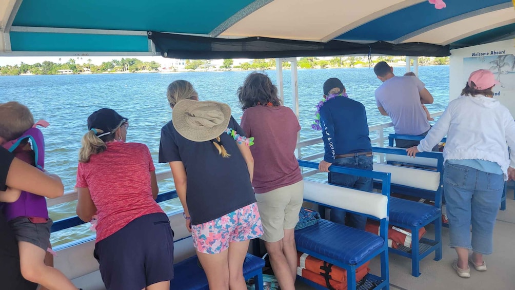 Picture 21 for Activity Private 2 hour Dolphin Sightseeing tour- Melbourne 2