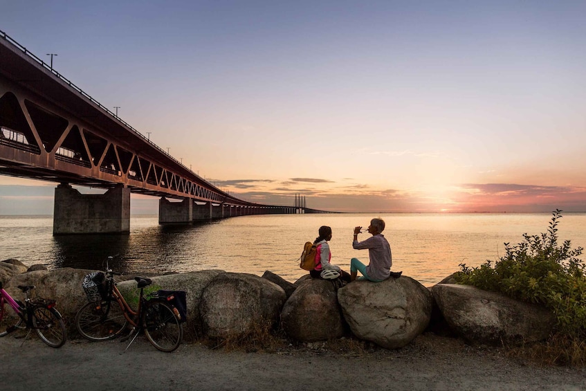 Picture 2 for Activity Malmö: City Bike Rental 4