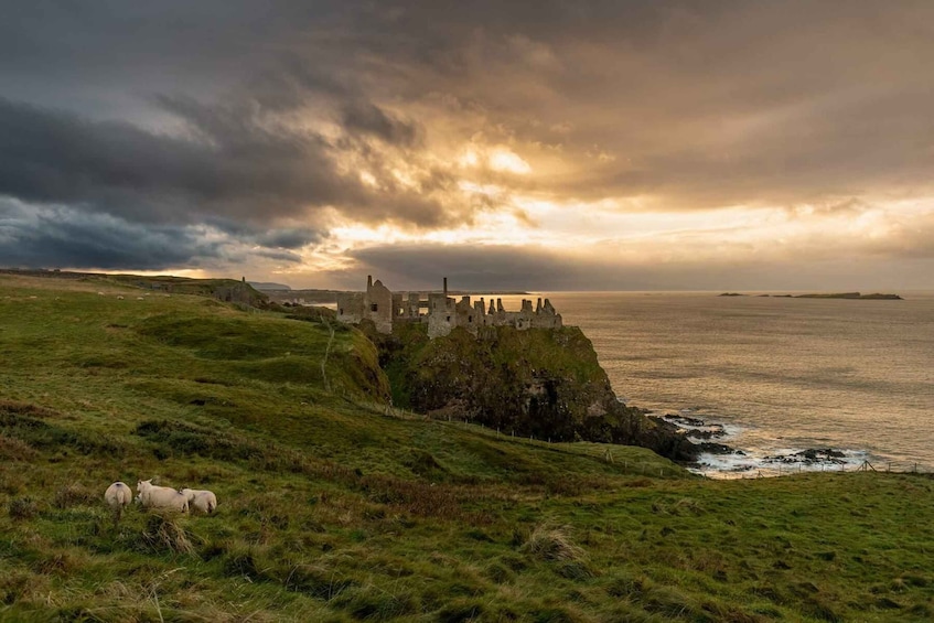 Picture 18 for Activity Giants causeway Irish castles & whiskey, Game of thrones 3