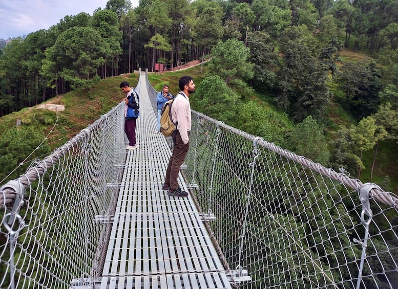 Un ponte sospeso con persone che lo attraversano, immerso in una fitta foresta. 5