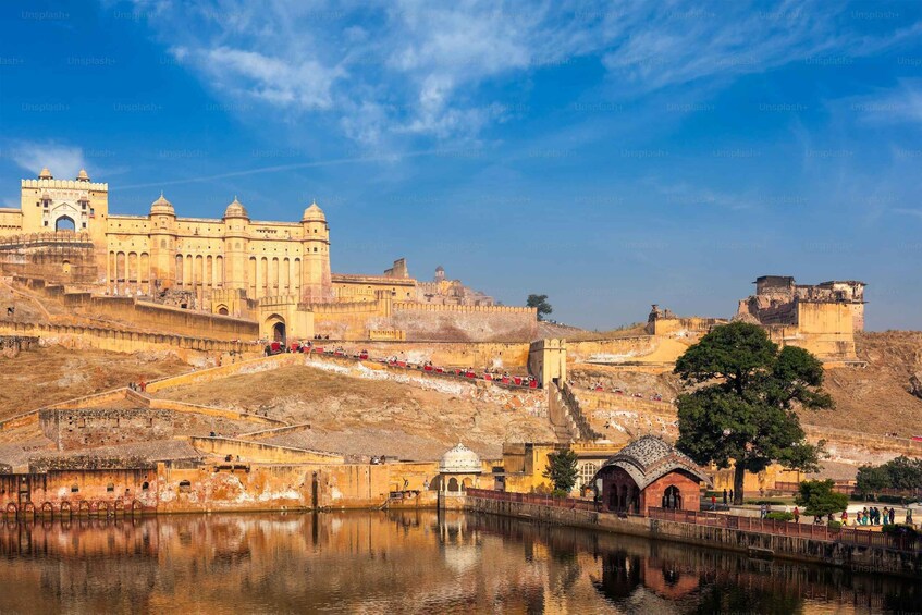 A historic fort with a large water body in front, a tree, and a clear sky. 5