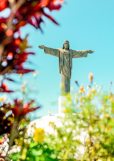 Picture 8 for Activity Puerto Plata: City Tour, Mountain and Lunch 5