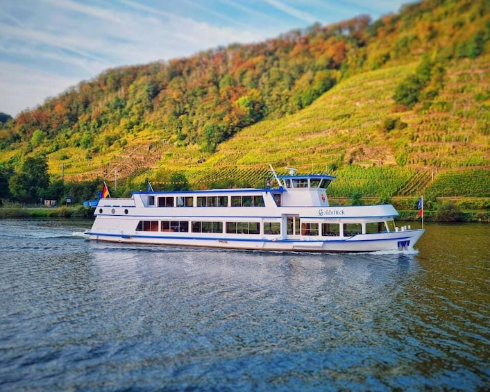 From Alken: Moselle Valley Sightseeing Cruise 1