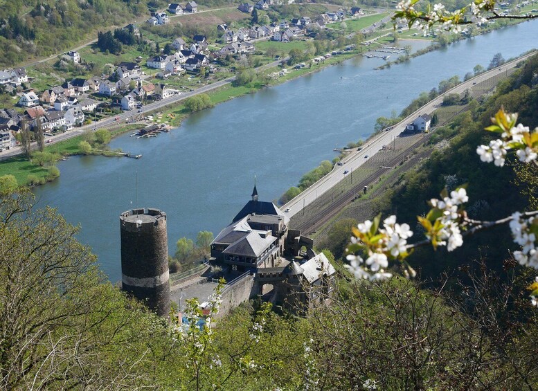 Picture 7 for Activity From Alken: Moselle Valley Sightseeing Cruise 4