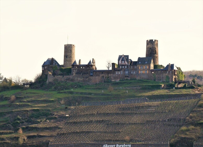 Picture 2 for Activity From Alken: Moselle Valley Sightseeing Cruise 2