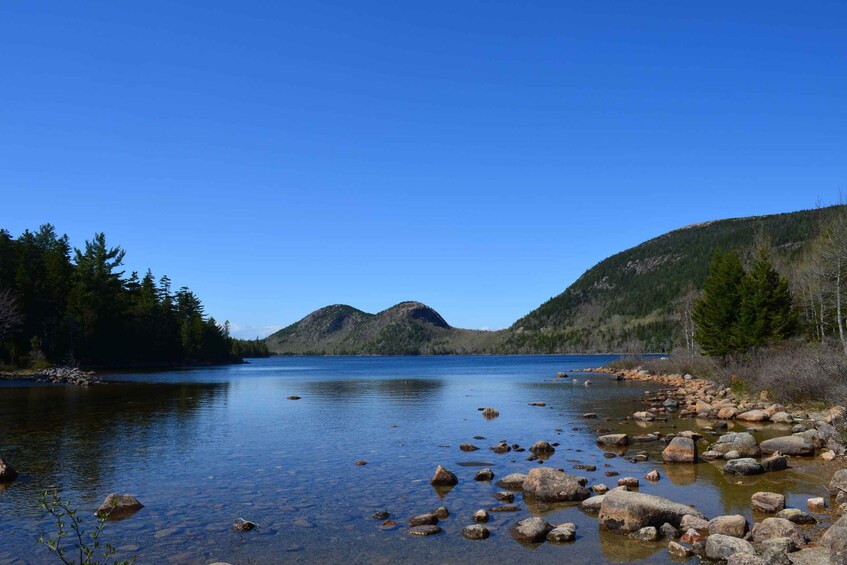Un lago tranquilo rodeado de costas rocosas y densos bosques bajo un cielo azul despejado. 1
