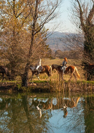 Picture 11 for Activity An Exclusive Horseback Experience in the Heart of Tuscany 2