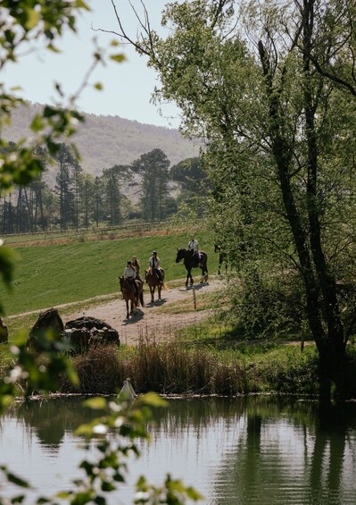Picture 2 for Activity An Exclusive Horseback Experience in the Heart of Tuscany 3