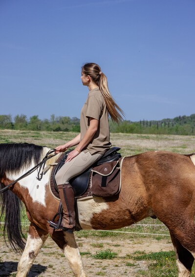 Picture 3 for Activity An Exclusive Horseback Experience in the Heart of Tuscany 5