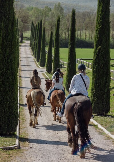 Picture 5 for Activity An Exclusive Horseback Experience in the Heart of Tuscany 5