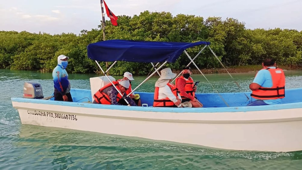 Picture 4 for Activity Progreso: Isla Columpios and Pig Beach Club Day Pass 2