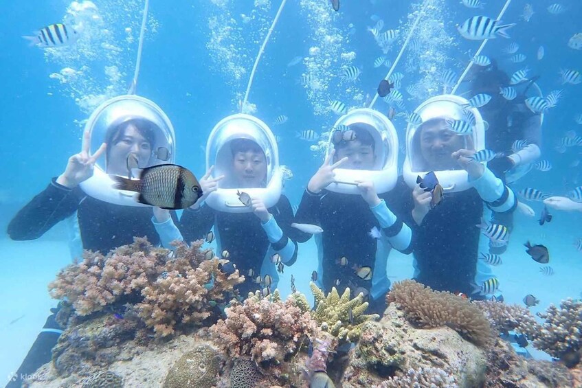 Four people in scuba diving gear underwater with fish and coral. 2