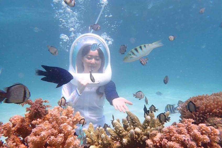A person in a transparent underwater habitat surrounded by various fish and coral. 3
