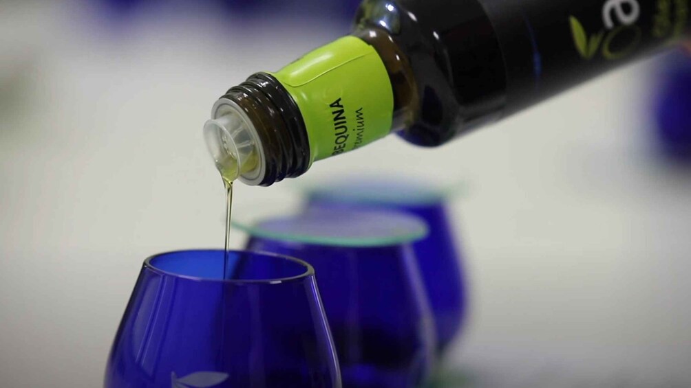 Picture 10 for Activity OleoAlmanzora: Guided tour + Masterclass of EVOO tasting Eng 1