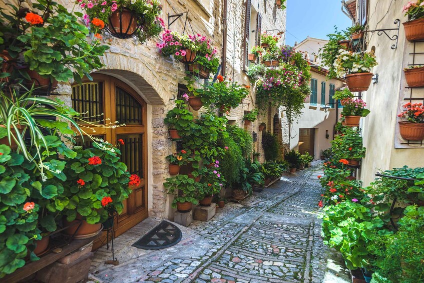 A narrow cobblestone street lined with stone buildings, potted plants, and hanging flower baskets. 4