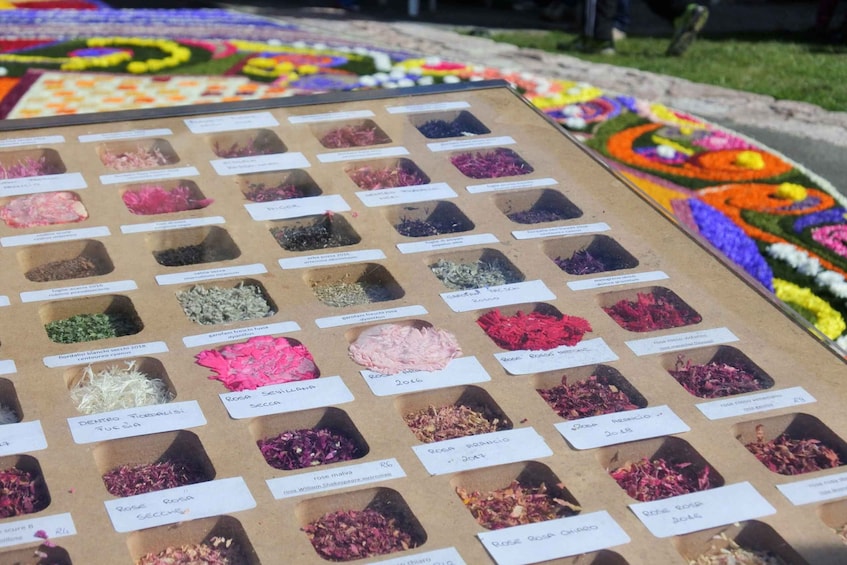 A display of dried flowers with labels, set against a colorful floral carpet. 5