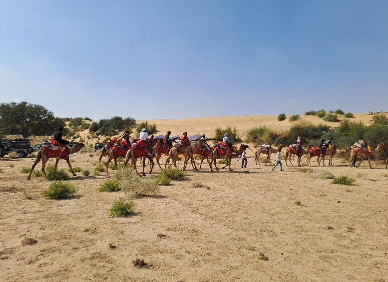 A group of people riding camels across a desert landscape with sparse vegetation and sand dunes in the background. 2