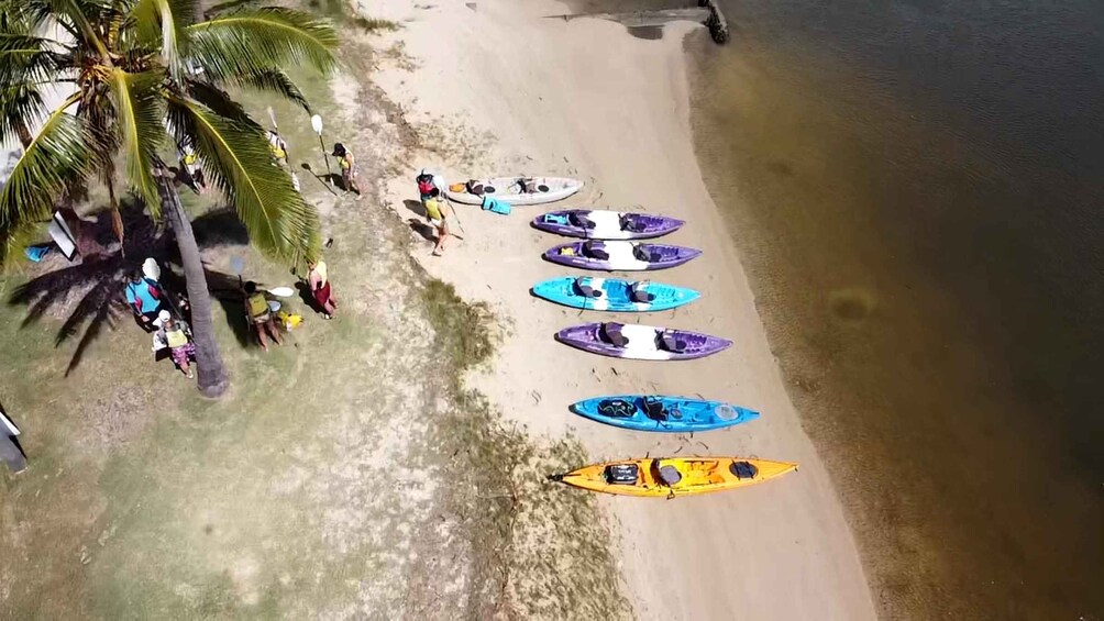 A beach with kayaks lined up and people preparing for water activities. 2