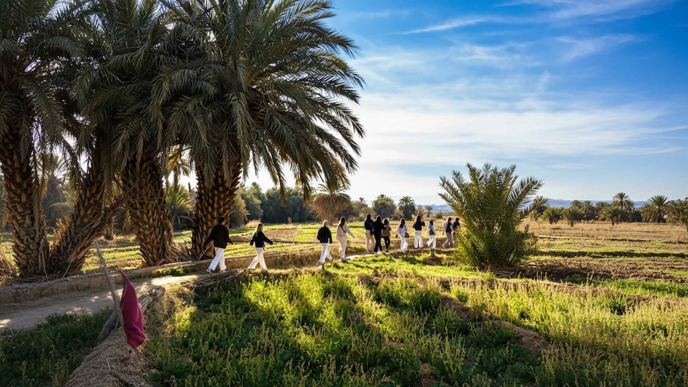 Picture 8 for Activity Taroudant & Tiout Oasis Day Trip from Agadir with Lunch 5