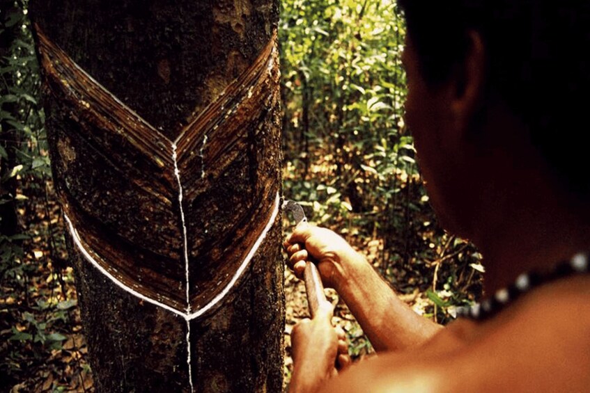 Picture 2 for Activity Manaus: Museu do Seringal Rubber Museum 3