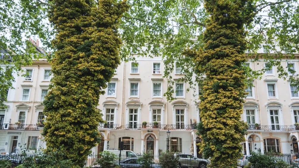 A building with ivy-covered trees in front. 2