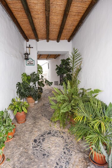 A narrow stone pathway flanked by potted plants and a wooden ceiling. 3