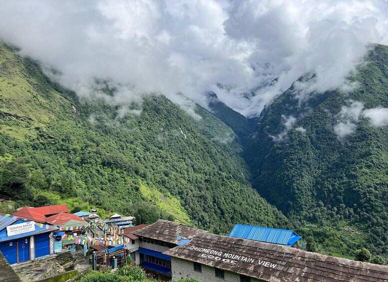 Picture 15 for Activity Kathmandu/Pokhara: 5-Day Annapurna Base Camp (ABC) Trek 4
