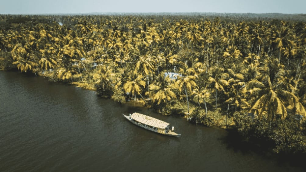 A boat on a river surrounded by dense palm trees. 2
